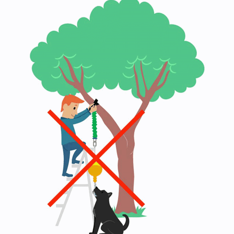 Home Alone