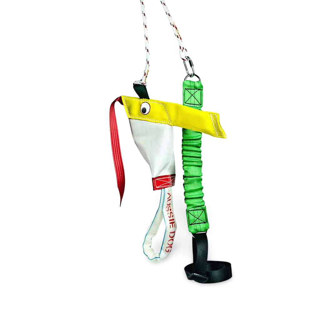 Standard Bungee Chook