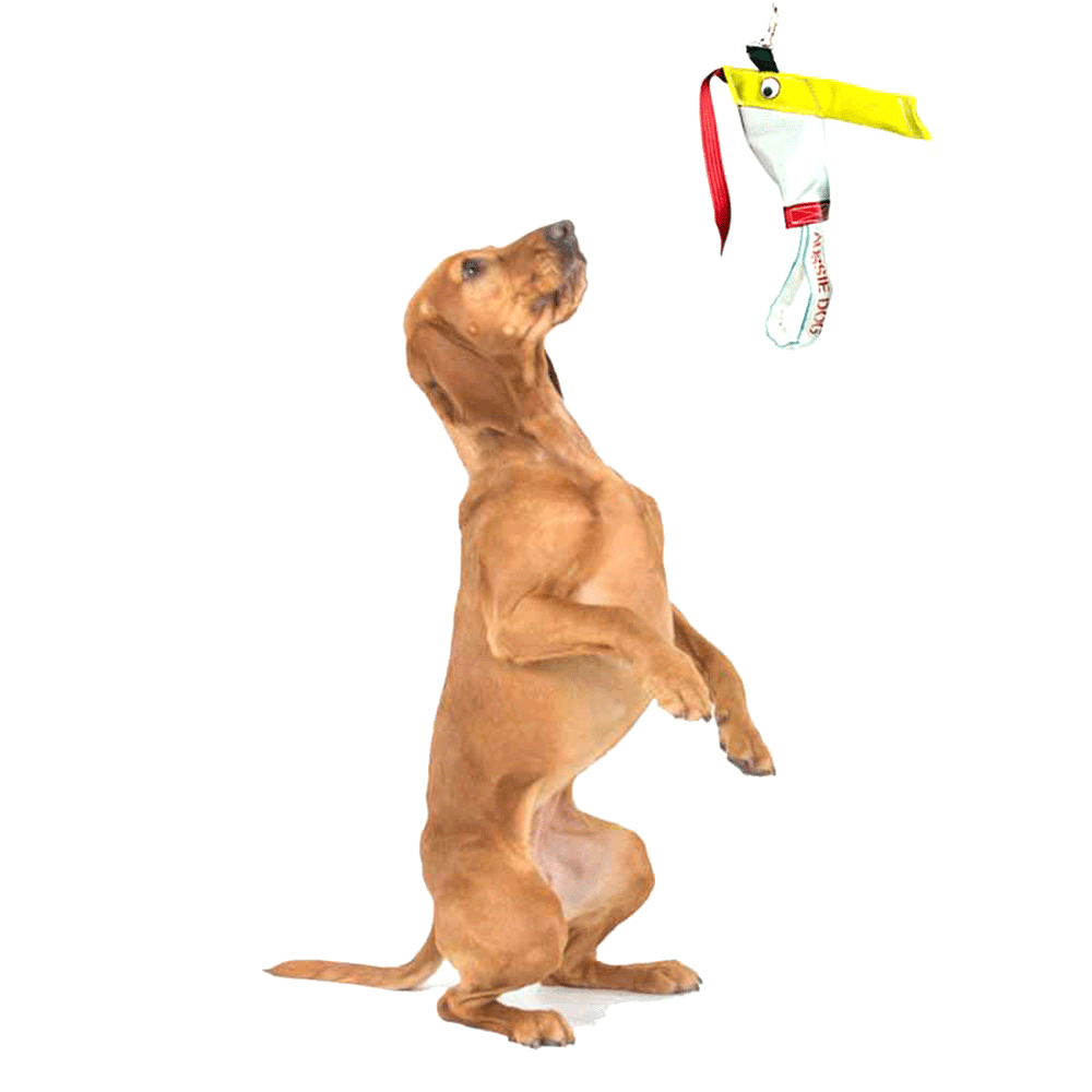 Standard Bungee Chook