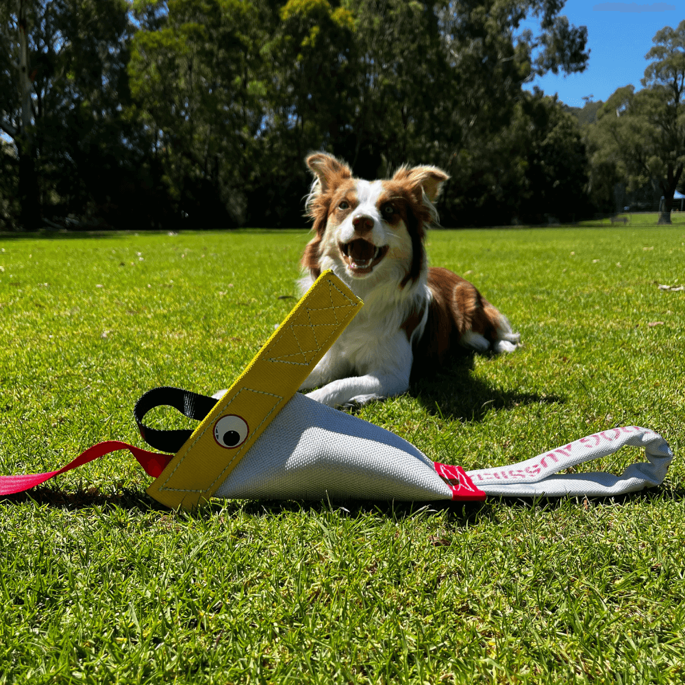 Standard Bungee Chook