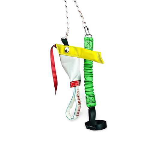 Standard Bungee Chook