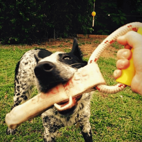 Tug It