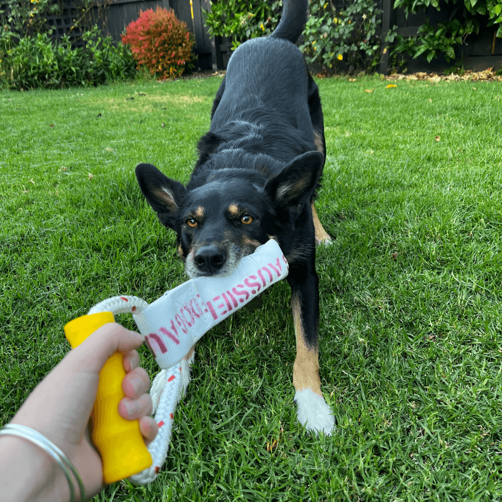 Tug It