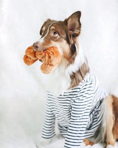 Zippy Paws Dog Toys Plush NOMNOMZ - Croissant