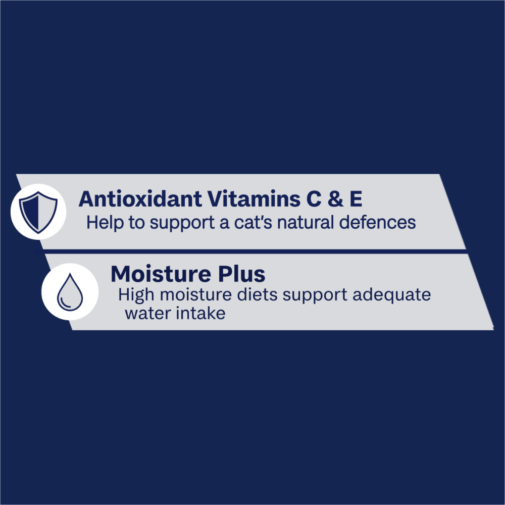 Adult Ocean Fish & Indoor Chicken And Turkey In Jelly Wet Cat Food Variety Pack