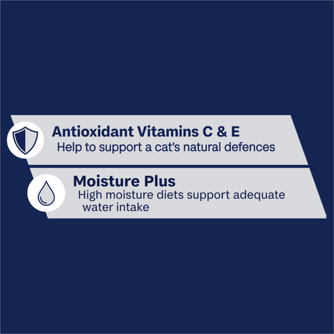 Adult Ocean Fish & Indoor Chicken And Turkey In Jelly Wet Cat Food Variety Pack