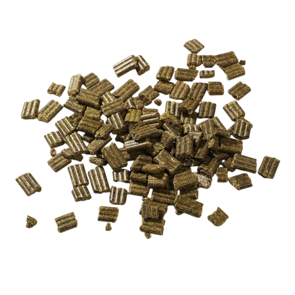 Fibre Beet Mash Conditioning Horse Feed