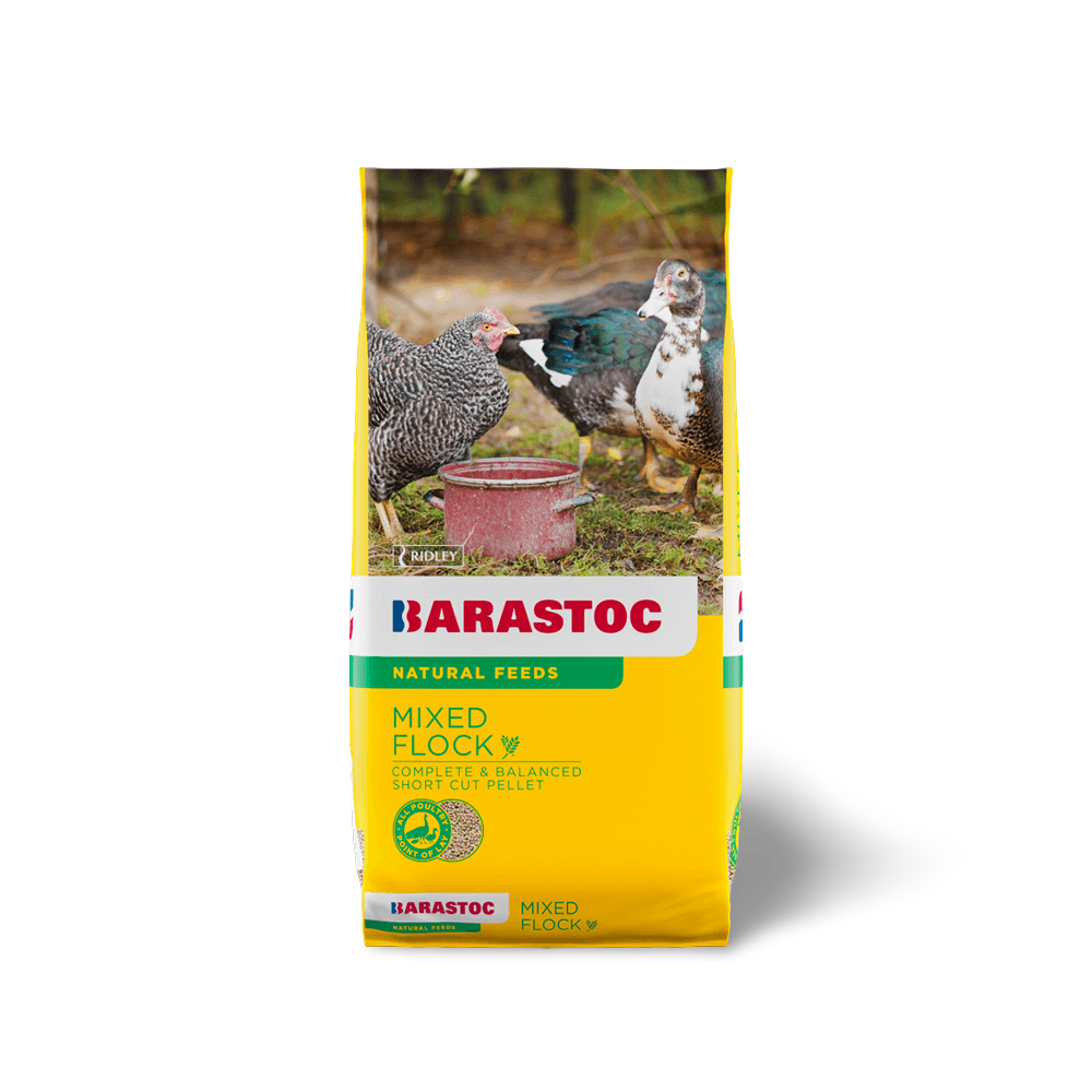 Mixed Flock Complete Pellet Feed for Mixed Fowl Flocks