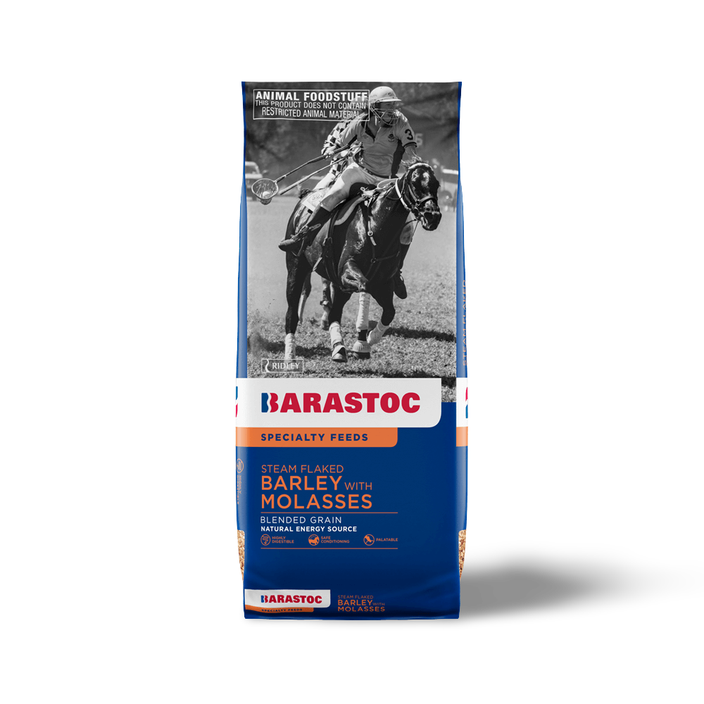 Steam Flaked Molasses Barley