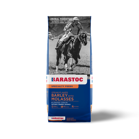 Steam Flaked Molasses Barley