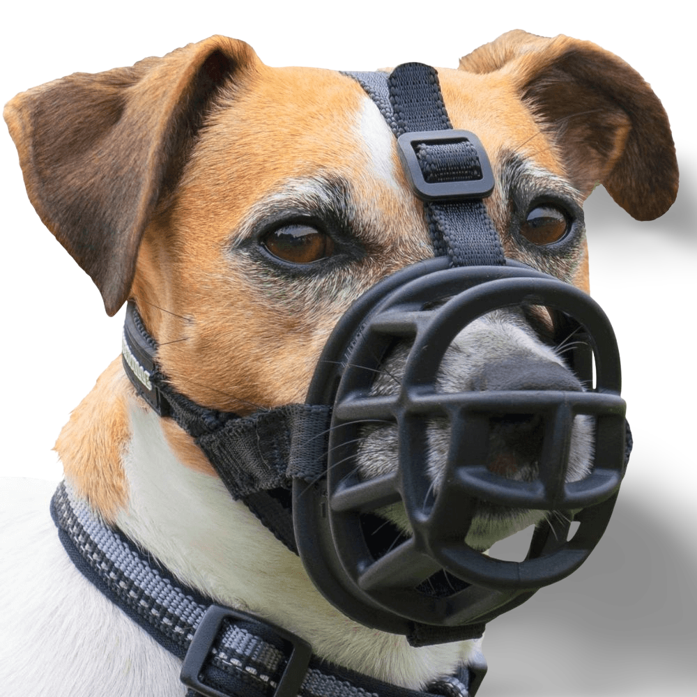 Ultra Dog Muzzle Black