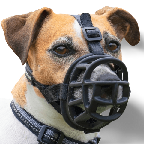Ultra Dog Muzzle Black