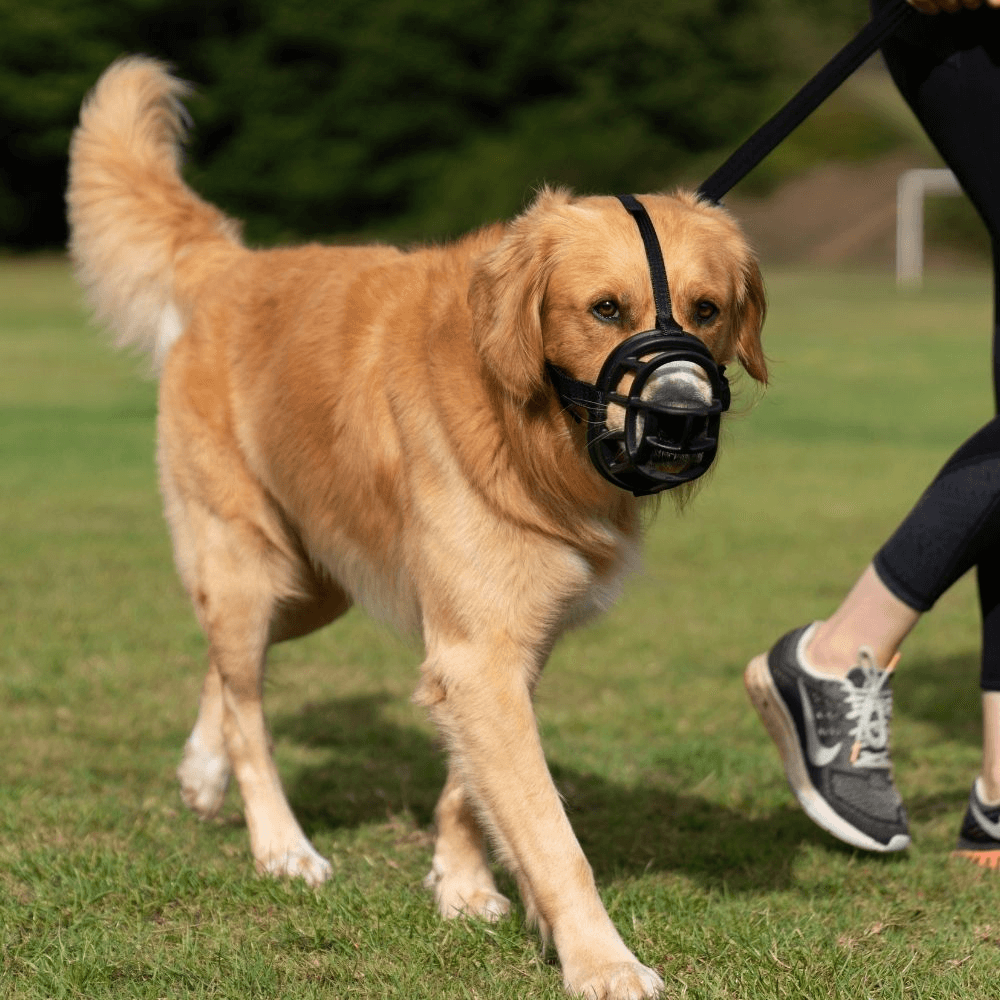 Ultra Dog Muzzle Black