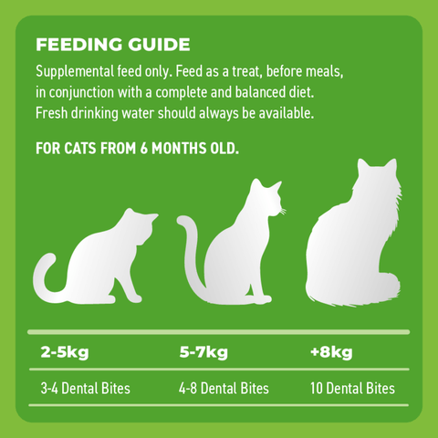 Adult Dental Bites Chicken With Blueberries Cat Treats