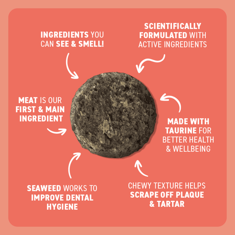 Adult Dental Bites Salmon With Charcoal Cat Treats