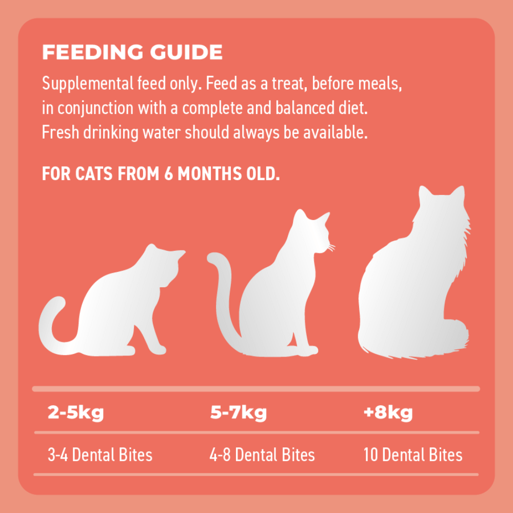 Adult Dental Bites Salmon With Charcoal Cat Treats