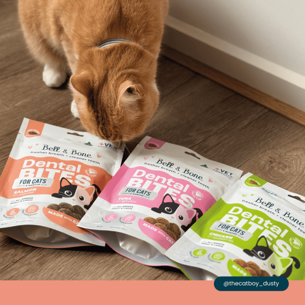 Adult Dental Bites Salmon With Charcoal Cat Treats