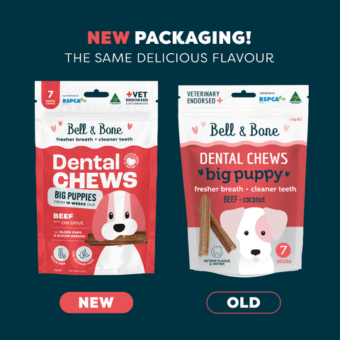 Beef Puppy Dental Chews Large