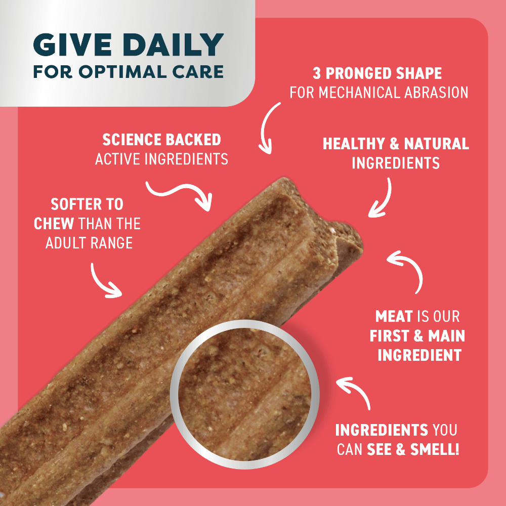 Beef Puppy Dental Chews Large