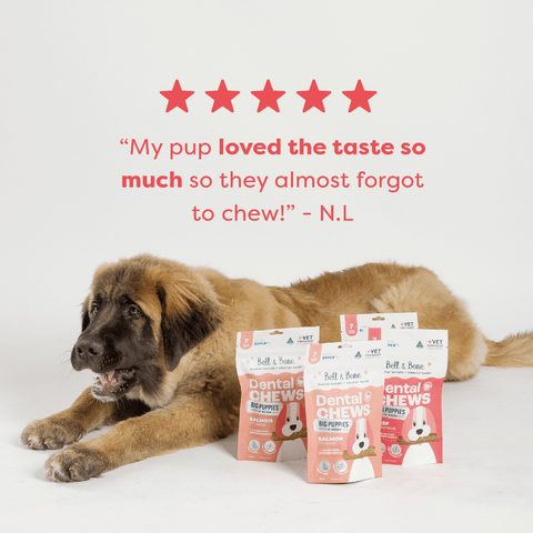 Beef Puppy Dental Chews Large