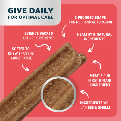 Beef Puppy Dental Chews Small
