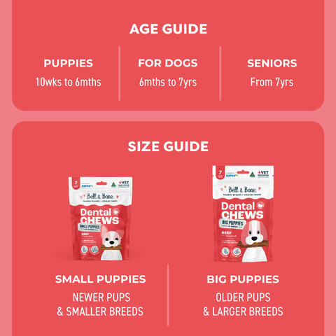 Beef Puppy Dental Chews Small