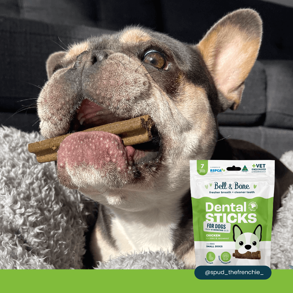 Chicken Mint And Seaweed Dental Dog Treats Small