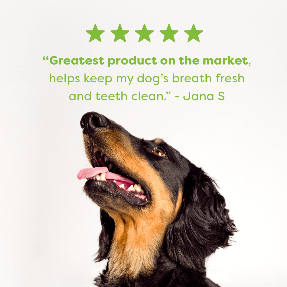 Chicken Mint And Seaweed Dental Dog Treats Small