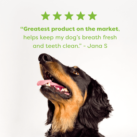 Chicken Mint And Seaweed Dental Dog Treats Small