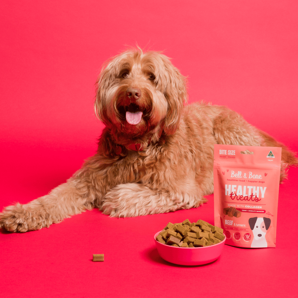 Healthy Dog Treats Beef And Tumeric