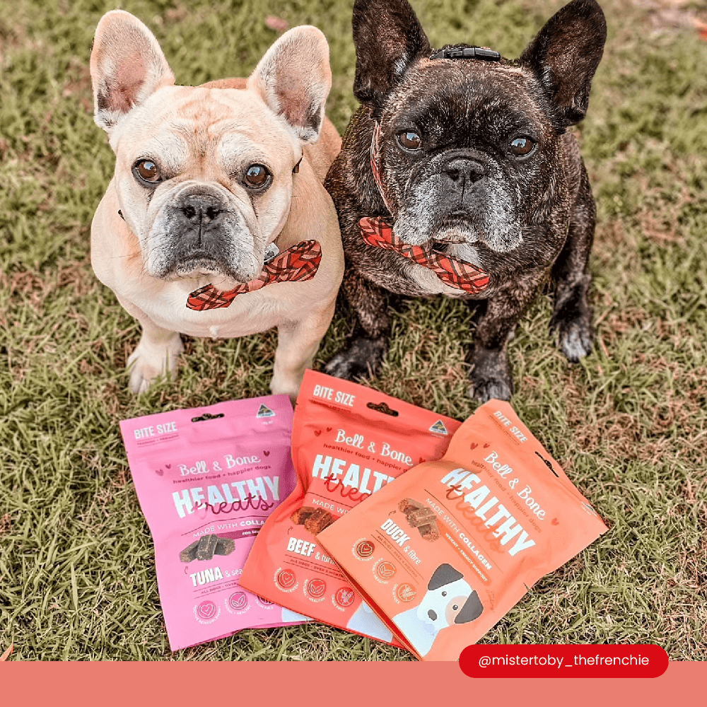 Healthy Dog Treats Beef And Tumeric