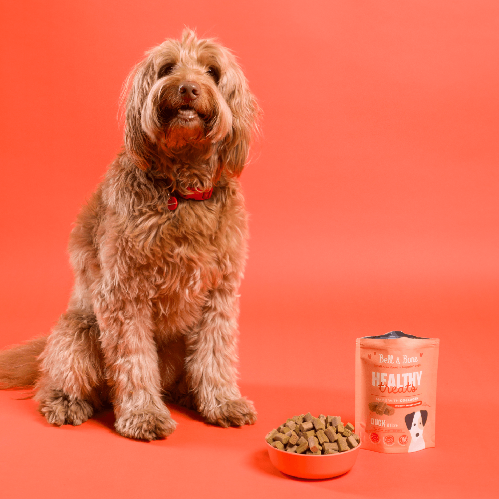 Healthy Dog Treats Duck And Fibre