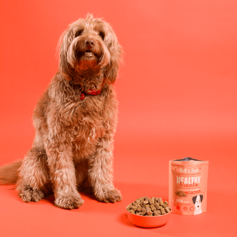 Healthy Dog Treats Duck And Fibre