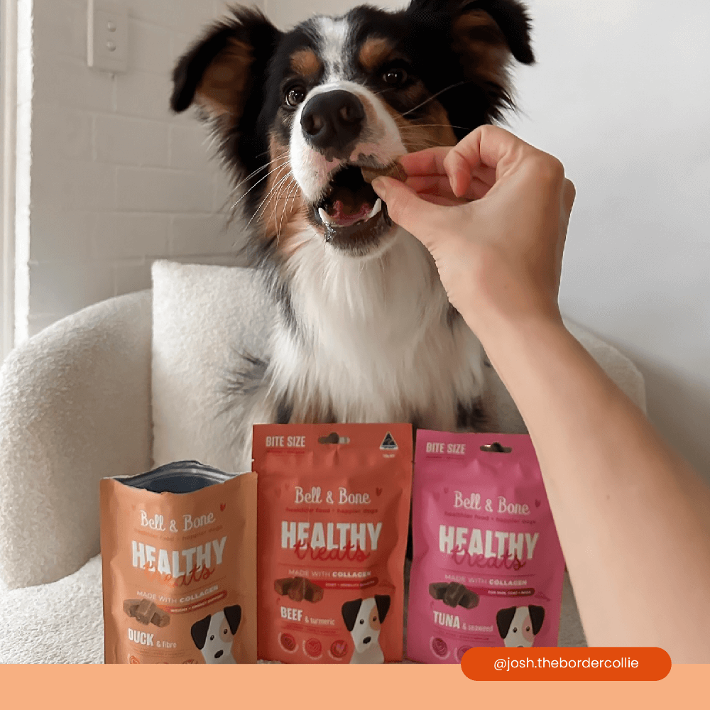 Healthy Dog Treats Duck And Fibre