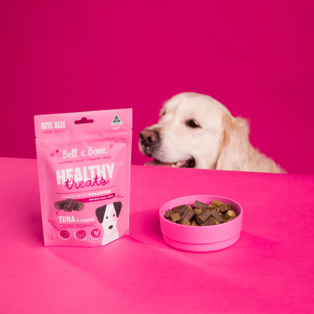 Healthy Dog Treats Tuna And Seaweed