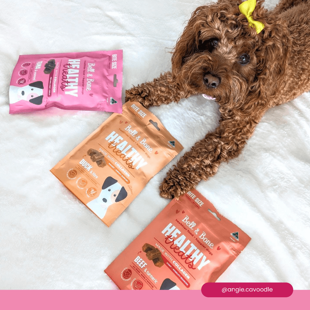 Healthy Dog Treats Tuna And Seaweed