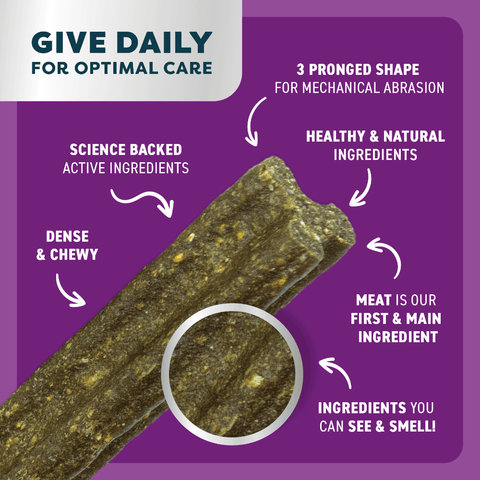 Kangaroo Mint Turmeric Dental Dog Treats Small