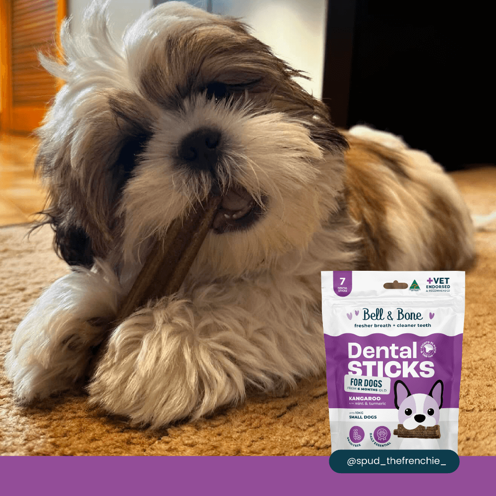 Kangaroo Mint Turmeric Dental Dog Treats Small