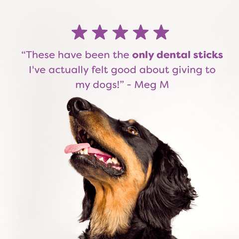 Kangaroo Mint Turmeric Dental Dog Treats Small