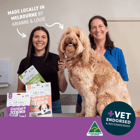 Kangaroo Mint Turmeric Dental Dog Treats Small