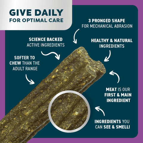 Kangaroo Senior Dental Chews Large