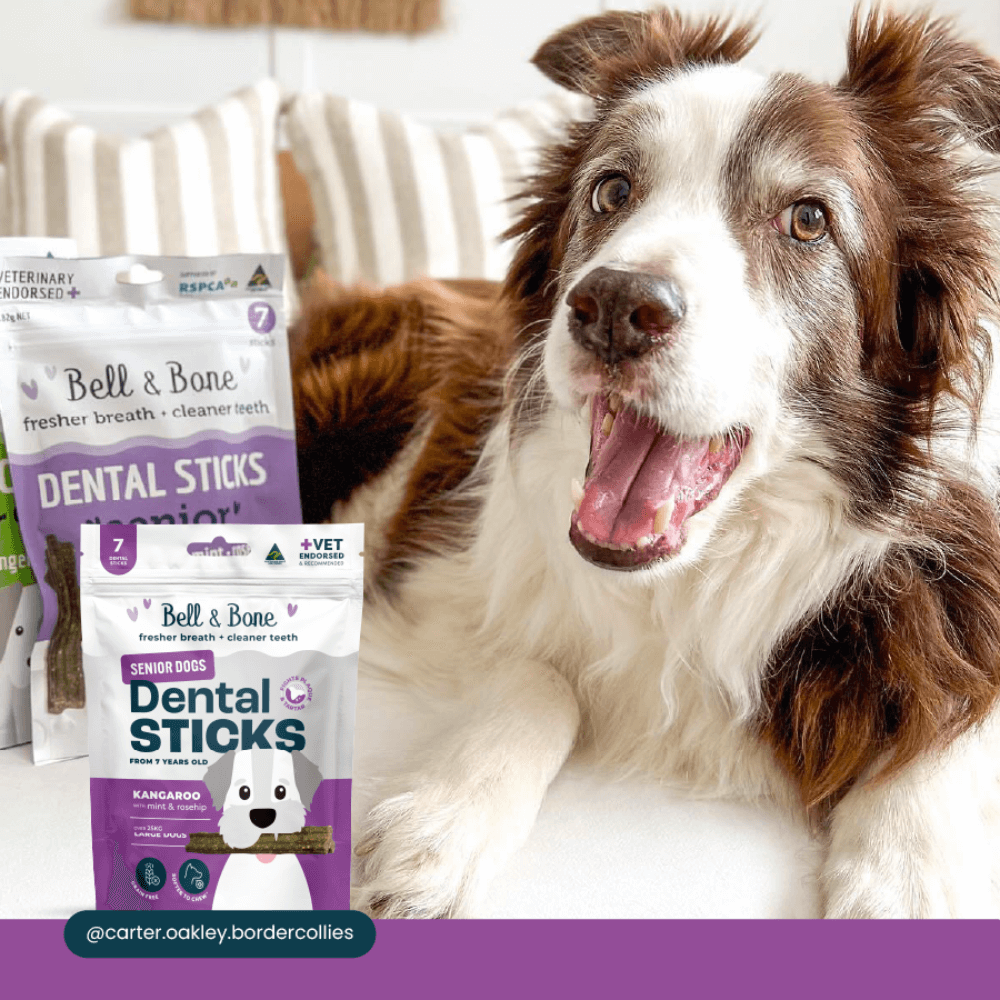 Kangaroo Senior Dental Chews Large