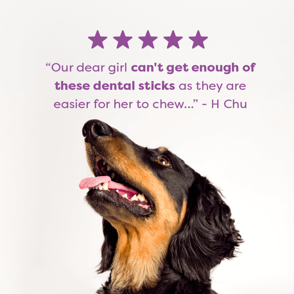 Kangaroo Senior Dental Chews Medium