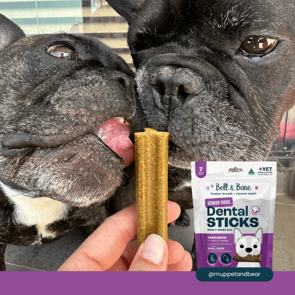 Kangaroo Senior Dental Chews Small