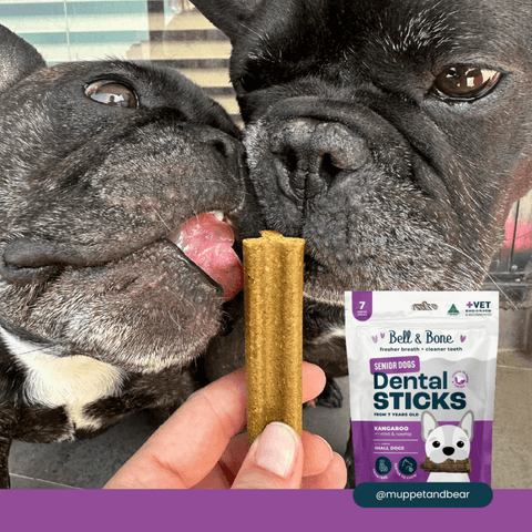 Kangaroo Senior Dental Chews Small