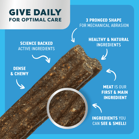 Lamb Mint Manuka Honey Dental Dog Treats Large