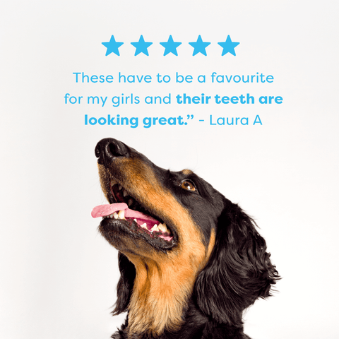 Lamb Mint Manuka Honey Dental Dog Treats Medium