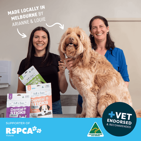 Lamb Mint Manuka Honey Dental Dog Treats Medium