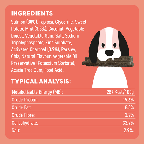 Salmon Mint And Charcoal Dental Dog Treats Large
