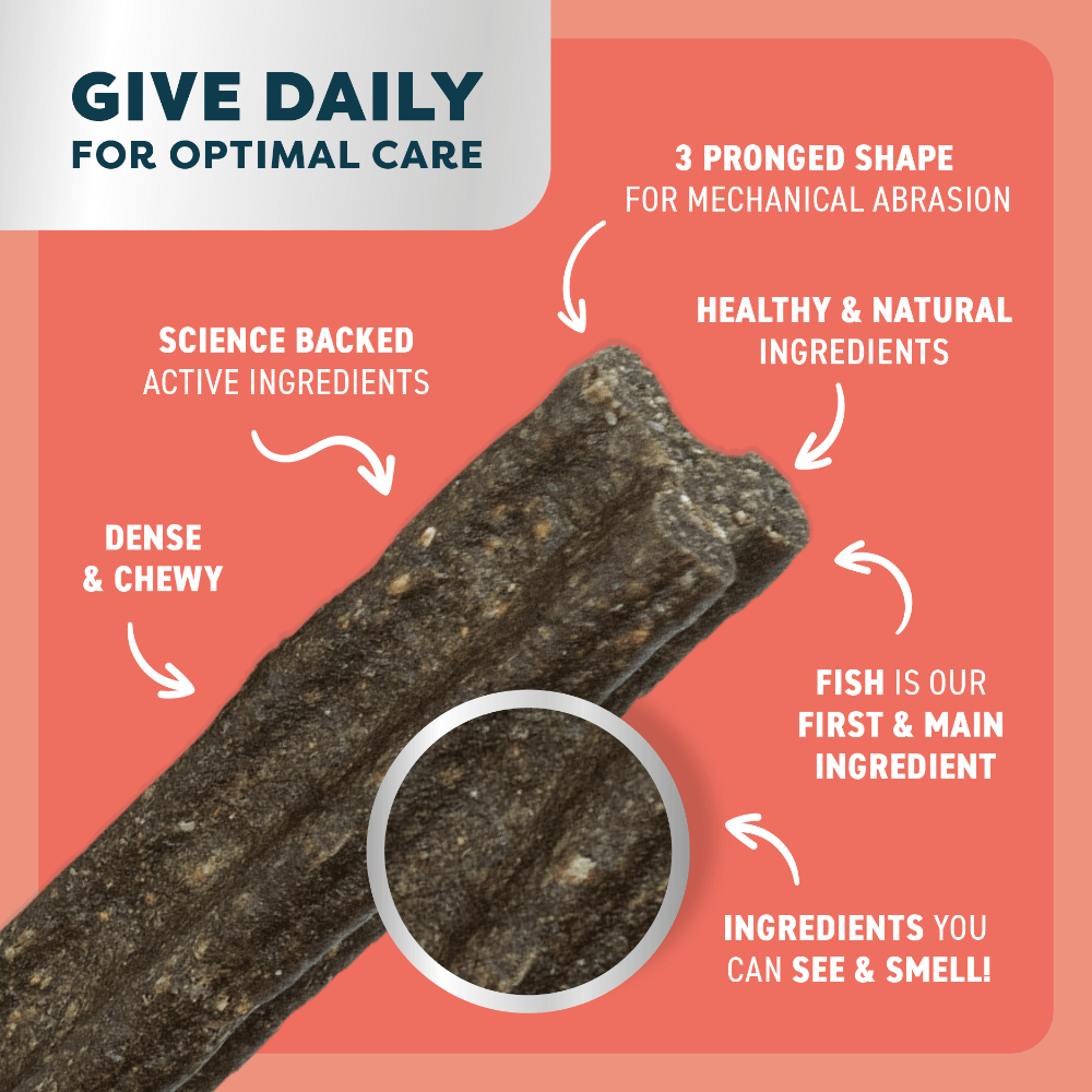 Salmon Mint And Charcoal Dental Dog Treats Medium